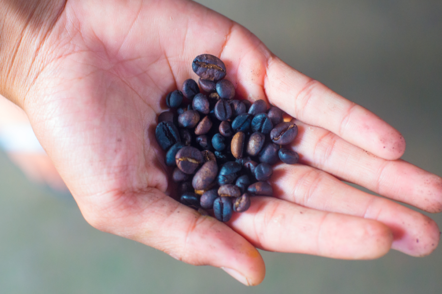 Waarom worden we in 2025 geconfronteerd met een stijging van de koffieprijzen?