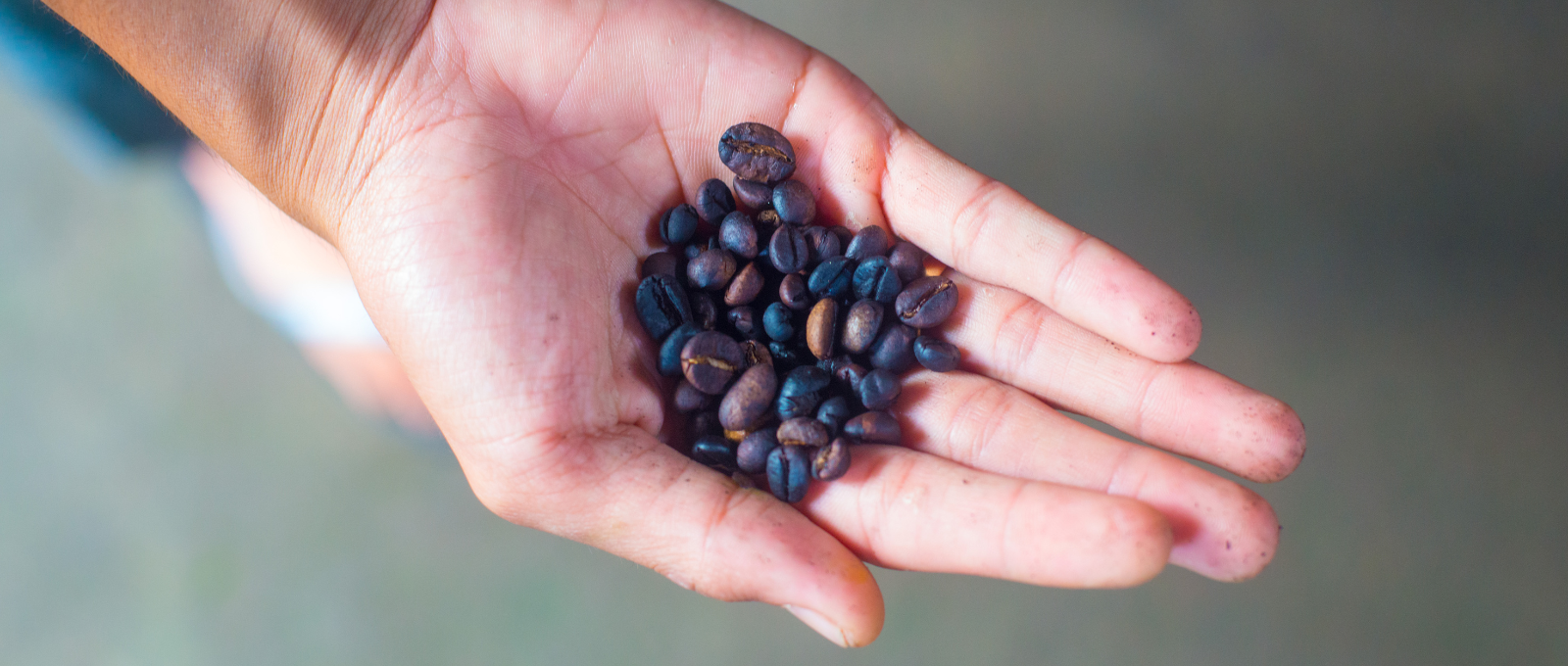 Waarom worden we in 2025 geconfronteerd met een stijging van de koffieprijzen?