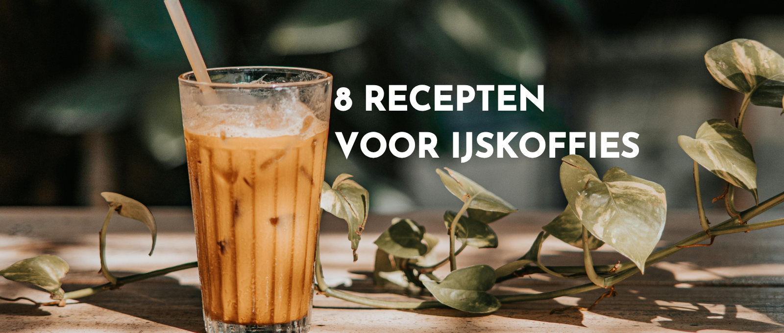 8 recepten voor ijskoffies